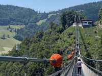 Black Forest Adventure: A Day Trip from Freiburg 🎢🌉🏞️