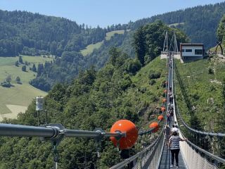 Black Forest Adventure: A Day Trip from Freiburg 🎢🌉🏞️