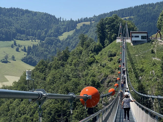 Black Forest Adventure: A Day Trip from Freiburg 🎢🌉🏞️