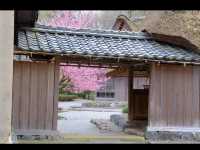 【おさごえ民家園で江戸時代にタイムスリップ】福井の暮らしを感じる旅🏡🕰️