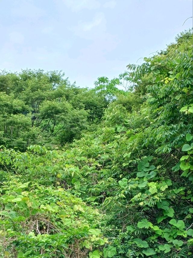 혼자서 조용히 머무를 공간을 찾는다면!
