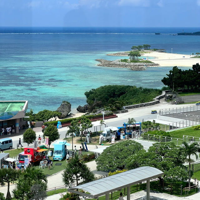 沖繩美麗海水族館：潛入世界最大水槽『黑潮之海』的夢幻藍！」  