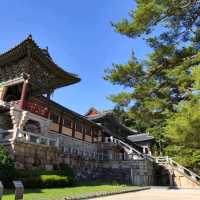 Exciting 6-hours trip to Gyeongju city