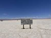 【Salinas Grandes｜地平線まで続く白の世界、自然がくれた特別なステージ】