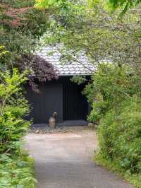 🌿アマネム（AMANEMU）｜アマンブランドが贈る癒しの温泉リゾート