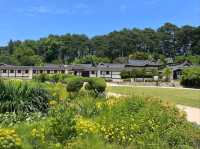 Temple Vibes & Beach Breezes at Gangmun’s Anmok Beach