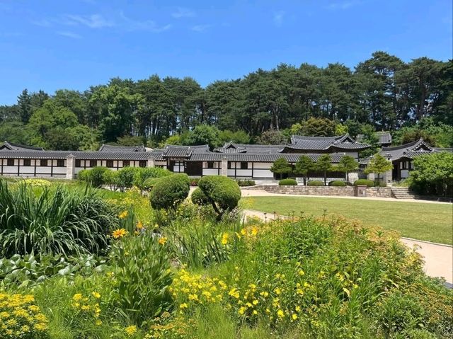 Temple Vibes & Beach Breezes at Gangmun’s Anmok Beach