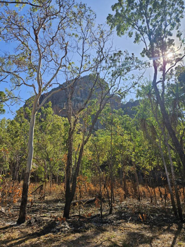 🌄【太古の大地と出会う】カカドゥ国立公園で冒険と癒しの旅