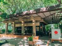 คาเฟ่มัทฉะในสวนสไตล์ญี่ปุ่น ย่านบางขุนนนท์ 🍵🌳