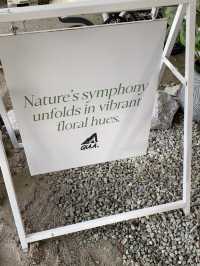  Gua. Juicery – Cave Vibes in Putrajaya Botanical Garden