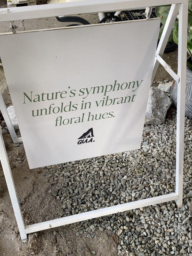 Gua. Juicery – Cave Vibes in Putrajaya Botanical Garden
