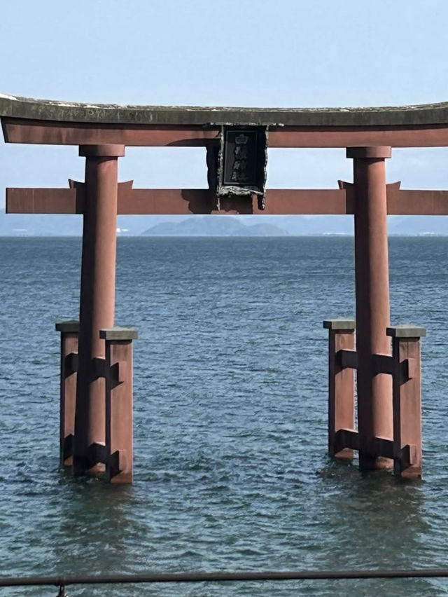 【琵琶湖に浮かぶ鳥居の絶景⛩️】白髭神社で神秘と癒しの旅✨