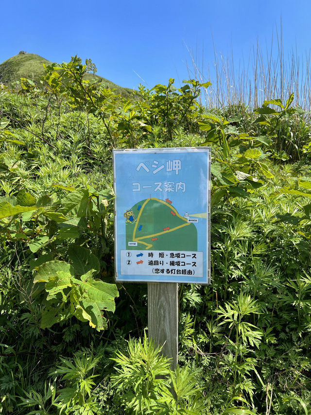 【北海道利尻島】ペシ岬