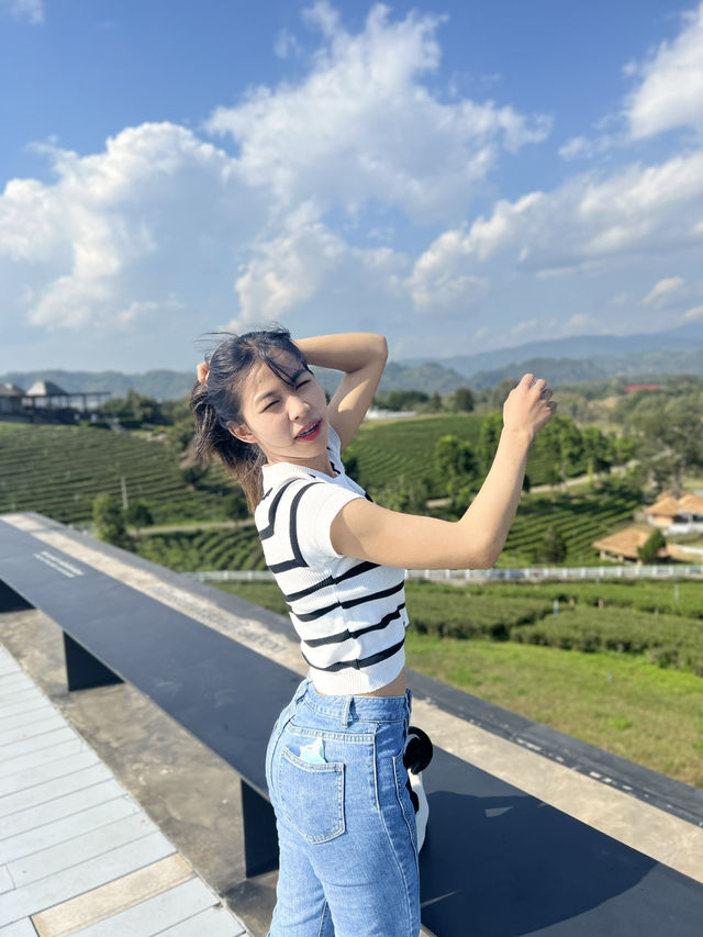 ไร่ชาฉุยฟง  บรรยกาศดีมาก จังหวุดเชียงราย