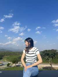 ไร่ชาฉุยฟง  บรรยกาศดีมาก จังหวุดเชียงราย