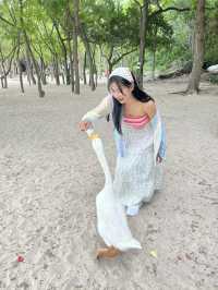 หาดเทียนเกาะล้านที่ไม่ควรพลาด น้องห่านน่ารัก