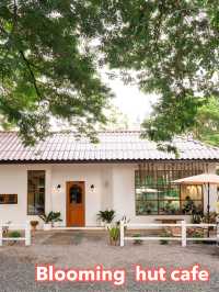 🌻🌾Blooming  hut cafe 🍃