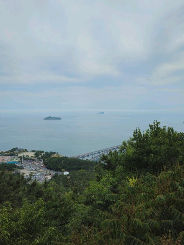 연화산 등산하기