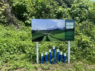 今宮の茶畑 靜岡富士市景點