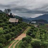 Chai Cheevit Mae Sa ที่พักกลางเขาในแม่ริม เชียงใหม่