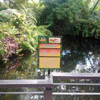 อเมซอนคาเฟ่ที่สวยเหมือนป่าจริง