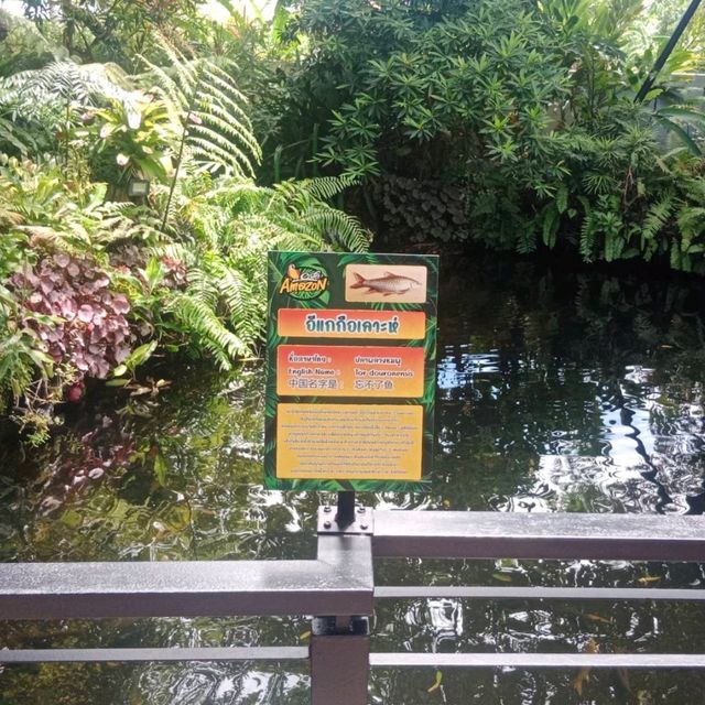 อเมซอนคาเฟ่ที่สวยเหมือนป่าจริง