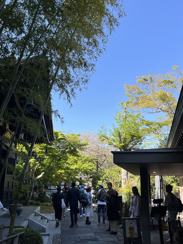 🌸🪷🌊 Hasedera Temple – Where Flowers Meet the Sea in Kamakura