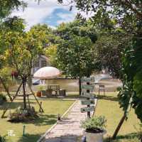 THUM FARM คาเฟ่สุดคิ้วท์เปิดใหม่ ศรีราชา