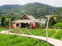 Ai Nara Cafe