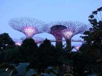 Gardens by the Bay.