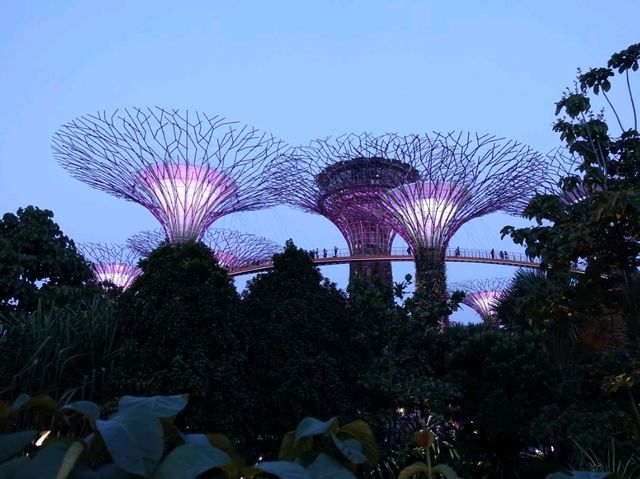 Gardens by the Bay.