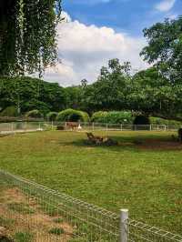 🍓 Farm Fresh @ UPM – A Fun & Fresh Escape from the City! 🐄🌾