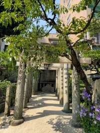 해외여행 일본 후쿠오카의 아름다운 신사 櫛田神社