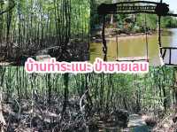 บ้านท่าระแนะ ป่าชายเลน จ.ตราด