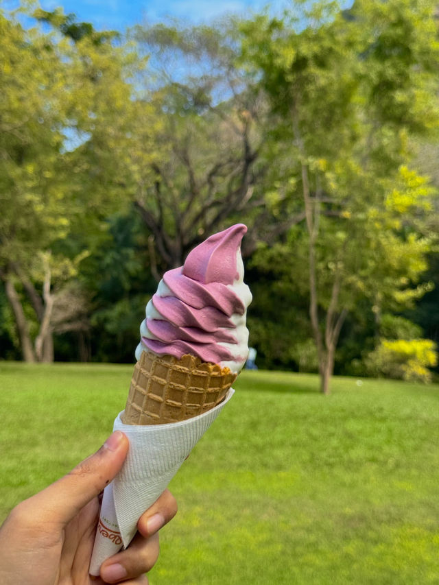 คาเฟ่กาญจนบุรี Vibes ดีมาก 💚🌳