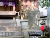 The Whispering Guardians of Otome Inari Shrine, Ueno