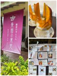 【沖縄県・宮古島】宮古島マンゴーの季節がやってきた！