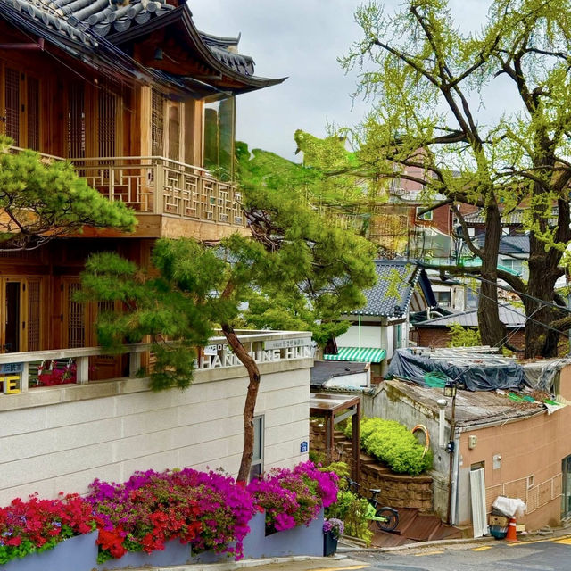 Bukchon Hanok Village: A Timeless Tapestry of Korean Elegance