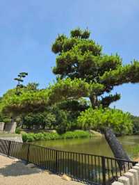 【大阪】堺市　大仙陵古墳（仁徳天皇陵）