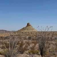 Big Bend National Park
