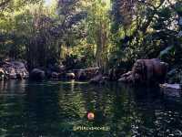 Jungle River Cruise