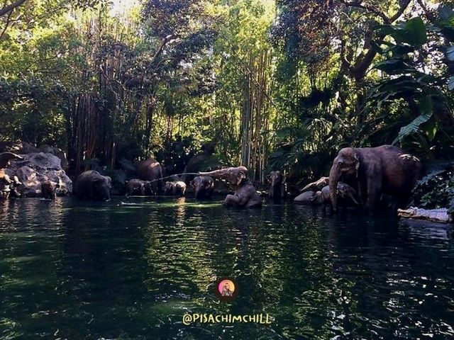 Jungle River Cruise
