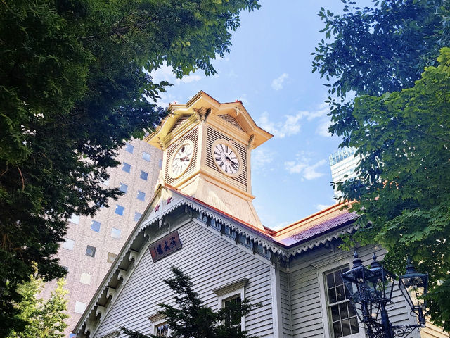 Summer in Hokkaido: A Whirlwind Tour of Sapporo! 🌸🏙️