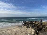 🇦🇺Byron Bay | Beachside bites 🐟🦐