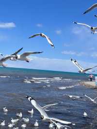 Qinghai Lake: The Shimmering Jewel of the Tibetan Plateau