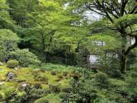 【大原三千院】山里に佇む癒しの寺🍃静寂と緑に包まれる“心の旅”