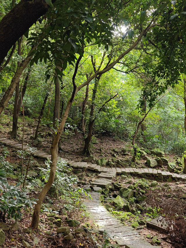 Fenghuang Mountain 🐦‍🔥 