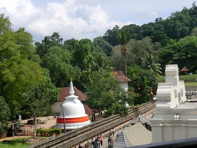 【スリランカ🇱🇰キャンディ】ダラダー・マーリガーワ寺院