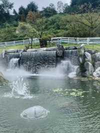 Mystery Garden Adventure in Begonia Bird Park