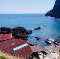 An Authentic Glimpse of Jeju's Untamed Shores